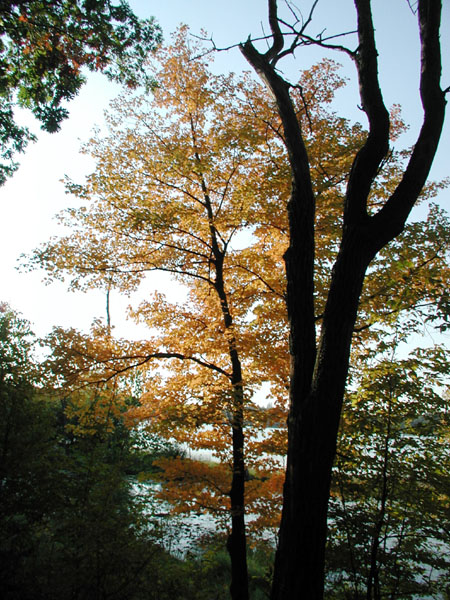 collegeville30