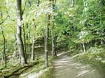 collegeville35