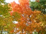 collegeville38