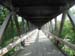 collegeville14