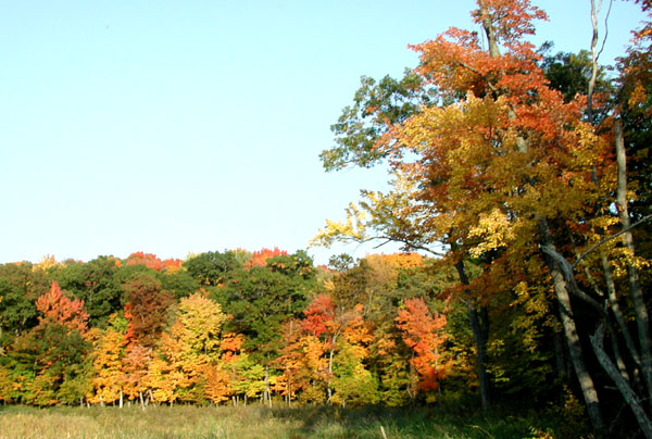 collegeville39