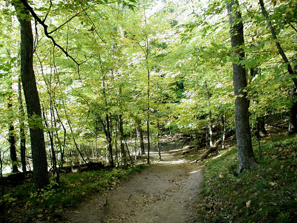 collegeville42