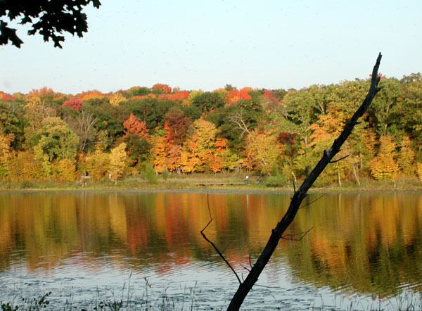 collegeville59
