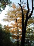 collegeville30